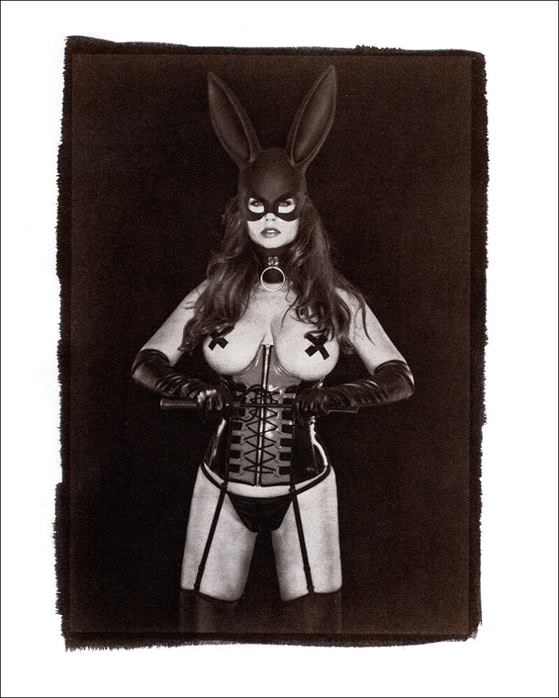 Playmate Carrie Stevens Bad Bunny