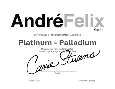 Platinum Palladium Card